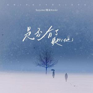 赖俊与沈莹的第二次相遇与相处
