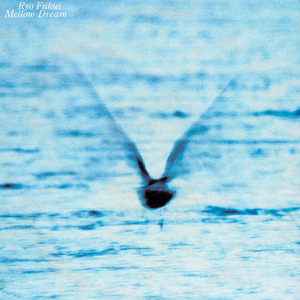 赖俊与沈莹的第二次相遇与相处
